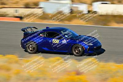 media/Nov-16-2024-Extreme Speed (Sat) [[6587d07cc4]]/Gold Group/Session 3 (The Bowl)/